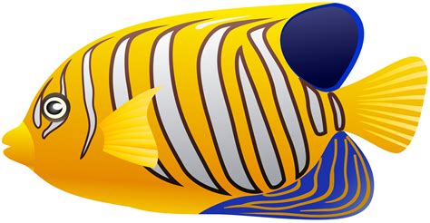 Yellow Fish Png Clip Art Best Web Clipart