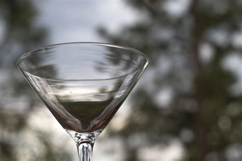 Free Images Wine Glass Drink Cocktail Martini Macro Photography Alcoholic Beverage
