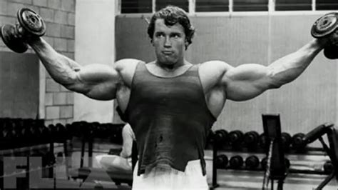 Arnold Shoulder Workout Pics Youtube
