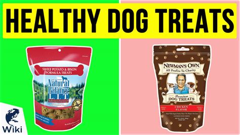 Top 10 Healthy Dog Treats Video Review