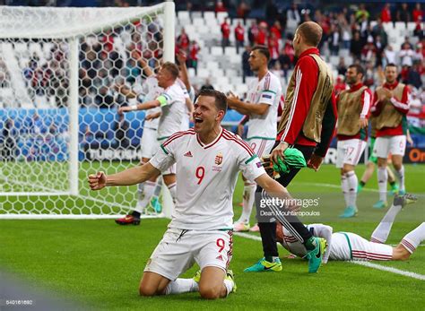 Ádám szalai celebrates with the fans after scoring a goal for hungary against austria. Adam Szalai and Hungary players celebrate after their team ...