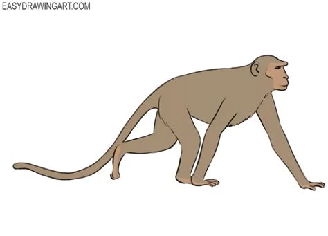 How To Draw A Monkey Easy Drawing Art