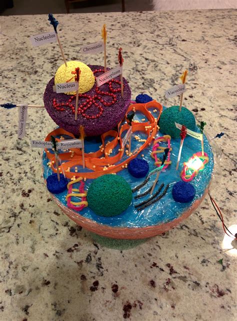 3 D Animal Cell Model Cell Model Animal Cell Fun Projects For Kids