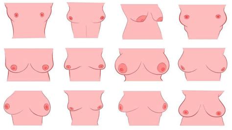 Test personalità ecco cosa rivela di te la forma del tuo seno