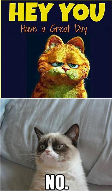 Erika Kaisersot Erikakaisersot Grumpy Cat Humor Grumpy Cat Grumpy