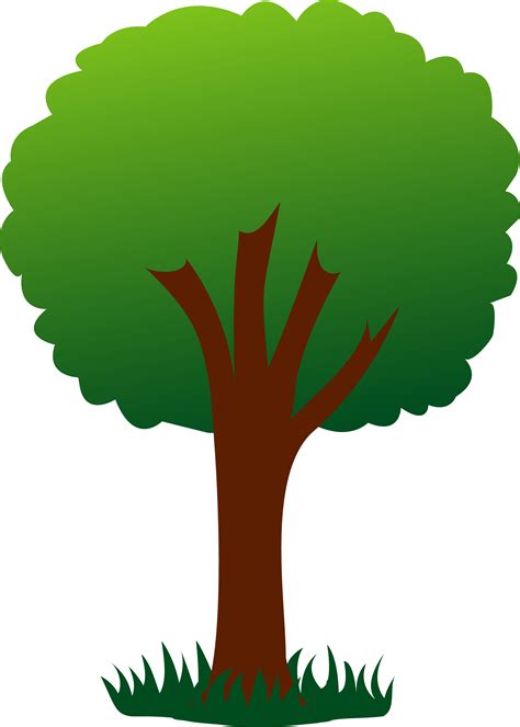 The image is png format with a clean transparent background. Cartoon Tree - Cliparts.co