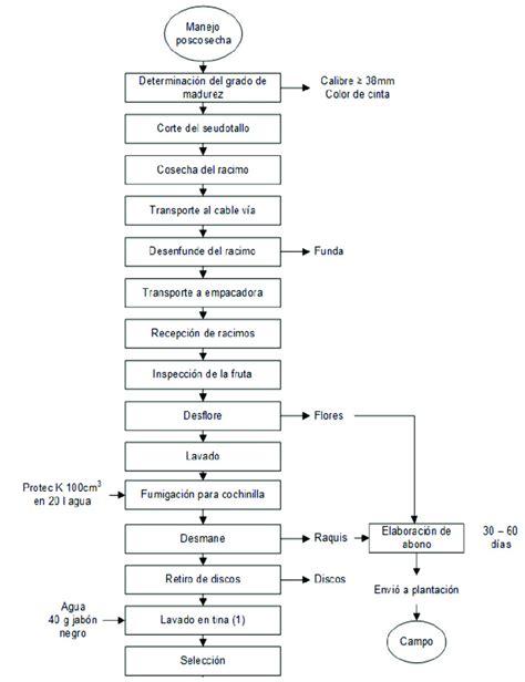 Diagrama De Flujo Para El Manejo Cosecha Y Postcosecha De Duraznos