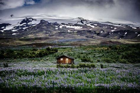 20 Lonely Houses Landscapes To Recover Your Soul 1001 Gardens