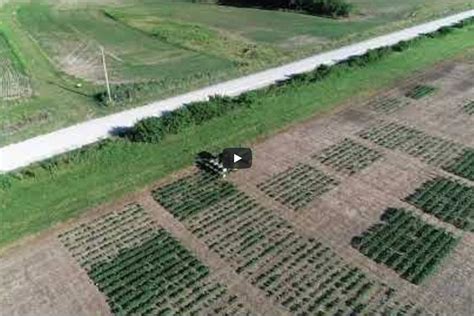 Growers can use different methods to reduce heat loss from their greenhouses. 2020 Mizzou Weed Science Virtual Field Day Video 2: Using ...