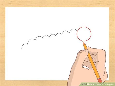 Easy step by step drawing tutorial. How to Draw a Caterpillar: 7 Steps (with Pictures) - wikiHow