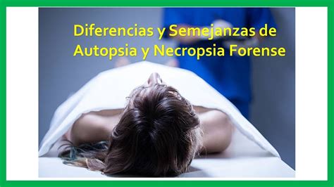 Necropsia O Autopsia Forense Diferencias Y Semejanzas Youtube