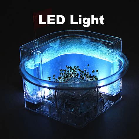 Light Up Ant Habitat For Kids Led Ant Farm For Live Ants Watch Etsy