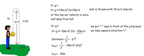 Free Fall Gcse Physics