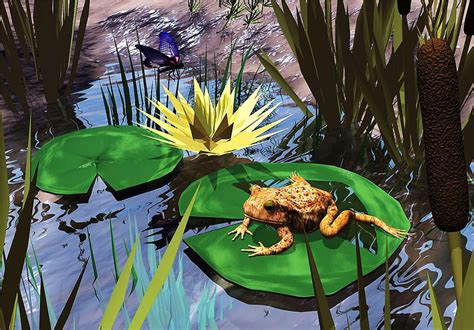 Pond Life Pond Frog Water Butterfly Lily Pads Lily Reeds Hd