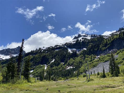 Snow Lake Trail Mount Rainier Pacificnorthwest