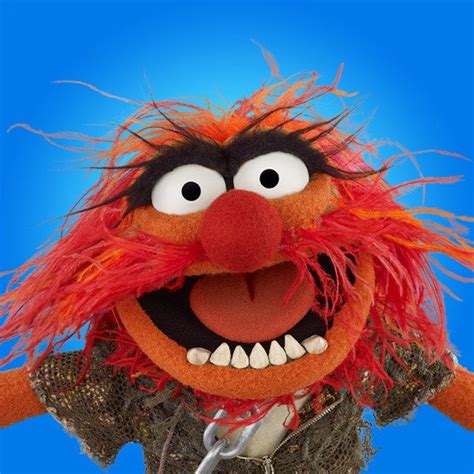 Which Muppet Would Be Your Perfect Valentine Animal Muppet Muppets