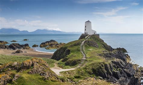 10 Top Trips To Discover Wildlife And Nature In The Uk