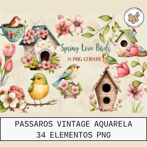 Kit Digital Pássaros Vintage Aquarela Pague 1 Leve 3 Elo7