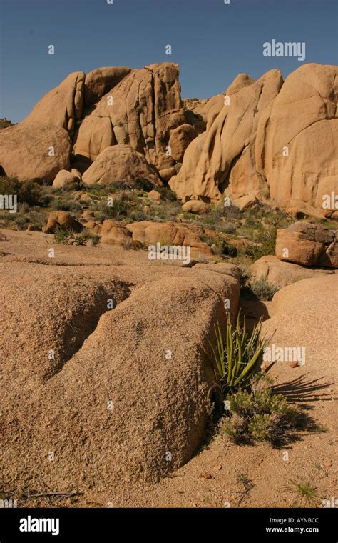 Granite Outcrops In Joshua Tree National Park California Stock Photo