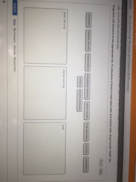 Maybe you would like to learn more about one of these? Solved: Drag Each Cell Structure To The Appropriate Bin. I ...