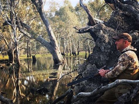 Australia Duck Hunting 4818 Ramsey Russells