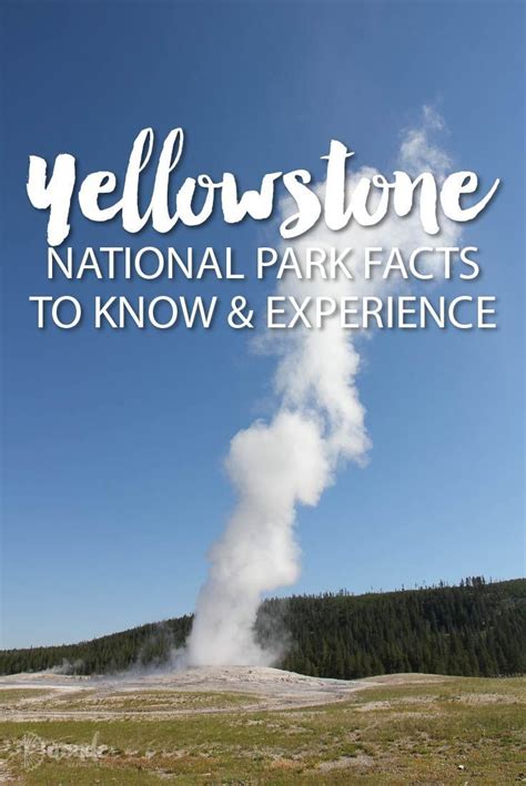 fascinating facts to know about yellowstone national park and ways to experienc… yellowstone