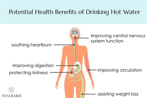 drinking hot water health benefits and risks 2022