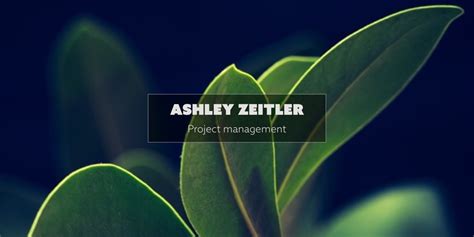 Ashley Zeitler