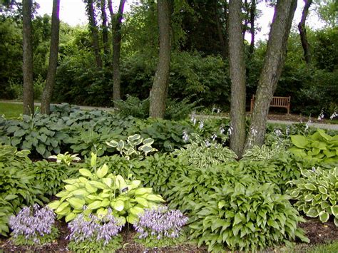 Klehm Arboretum And Botanic Garden