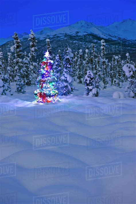 Christmas Tree With Multicolored Lights Standing On Snow