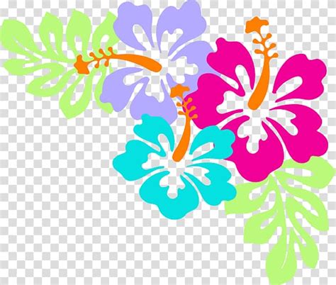 Free Download Assorted Color Hibiscus Flower S Hawaiian Flower Aloha Hawaii Transparent