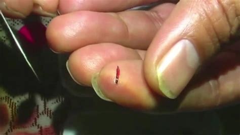 Man In India Says He Has Made The Worlds Smallest Pencil