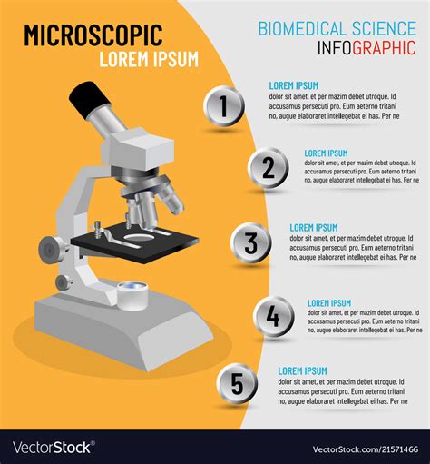 Science Infographic Microscope In 3d Royalty Free Vector