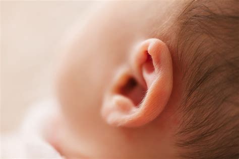Newborn Baby Ear Royalty Free Photo