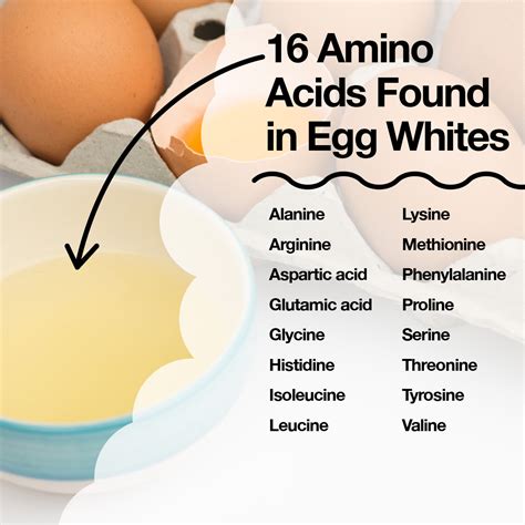 Eggs Contain All Nine Essential Amino Acids Which Your Body Needs To