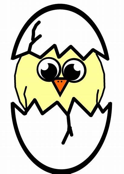 Egg Chick Hatching Clipart Chicken Clip Easter