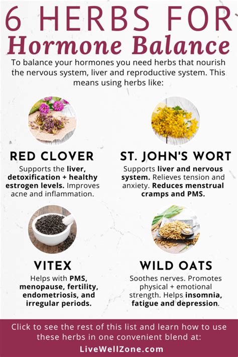 6 Herbs That Balance Hormones That You Re Probably Not Using