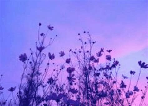 Anime aesthetic flowers and flora gif hunt. poppy aesthetic purple cute pfp GIF by rayathedutchie