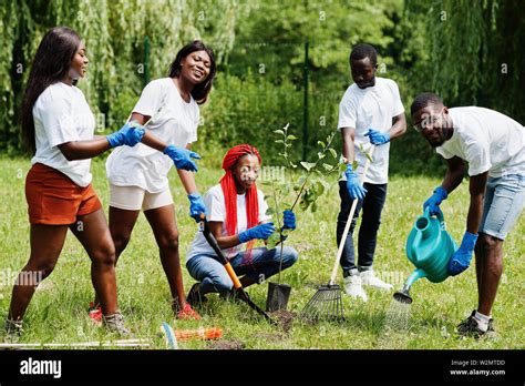 Group Of Happy African Volunteers Planting Tree In Park Africa