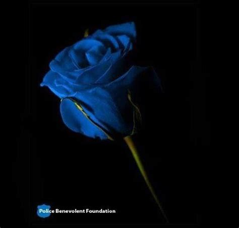 Blue Rosé To Honor Our Fallen Law Enforcement Officersusa And Usa