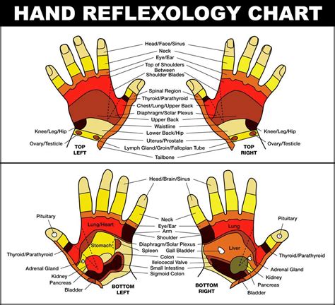 The Deeply Relaxing Nature Of Reflexology Allows The Body To Release