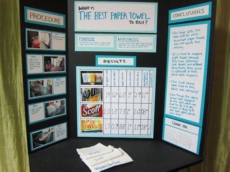 Science Fair Project Board I Worked On With My Niece Turns Out Cheap