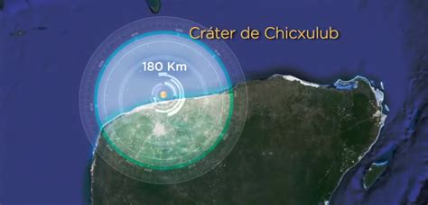 Rápida Recuperación De Vida En Cráter De Chicxulub Desde El Balcon