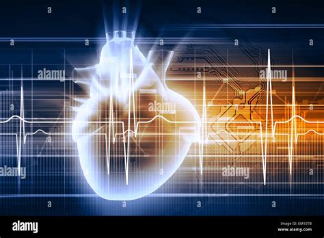 Human Heart Beats Stock Photo Alamy