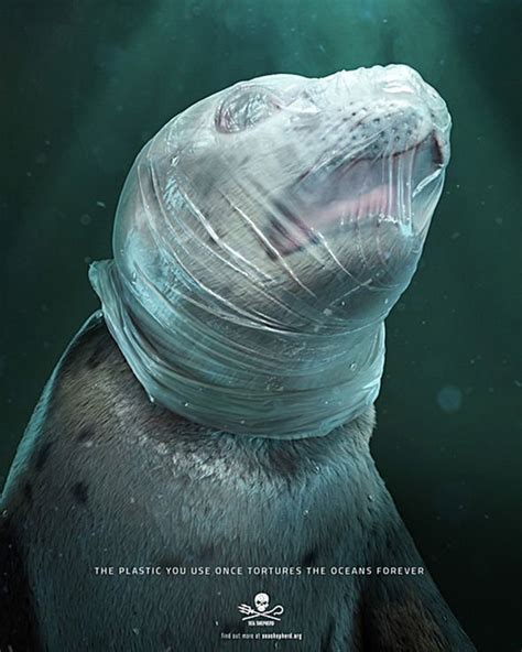 Seal Plastic Pollution