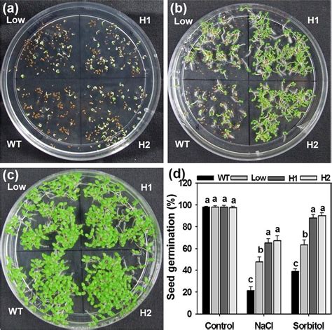 Seed Germination Assay Under Salt And Osmotic Stress The Germination