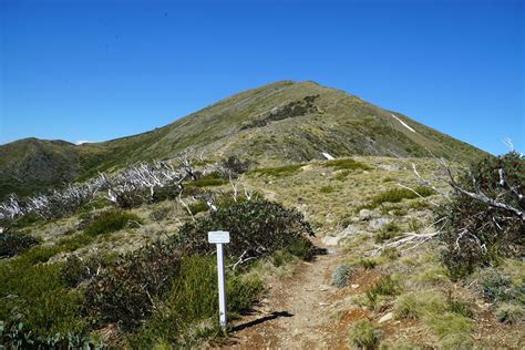 Mt Feathertop Via The Razorback Alpine Np ~ The Long Ways Better