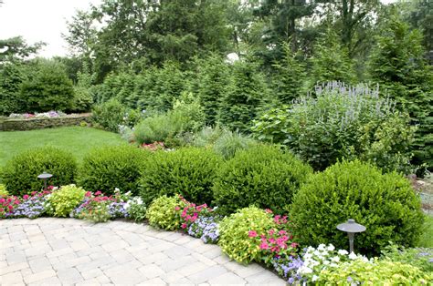 Planting In The Fall For The Perfect Spring Garden