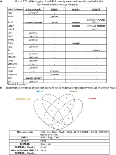 Translation means the process of translating an thus, we can make a conclusion that there are two steps of gene expression: Transcription And Translation Practice Worksheet Answers ...