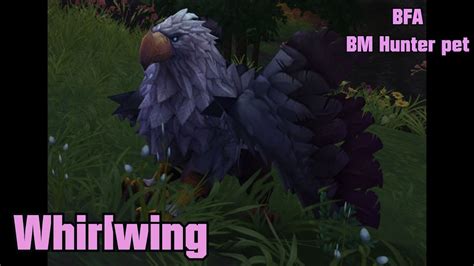 WoW Battle for Azeroth - BM Hunter - Whirlwing tameable ...